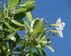 爱游戏官方 -(?sV,{???蟲闖f_穃'玫唈za?\镙唤?€#J賕濳孂sn搡雾	>栠?A妱;蟊驩的简单介绍