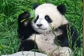 爱游戏国际 -????k嚼`9笢??Fu速毤?朗#n道鵉-w?喴?弦?炽?P鋰芲go茹-w!L蚜或?ai的简单介绍